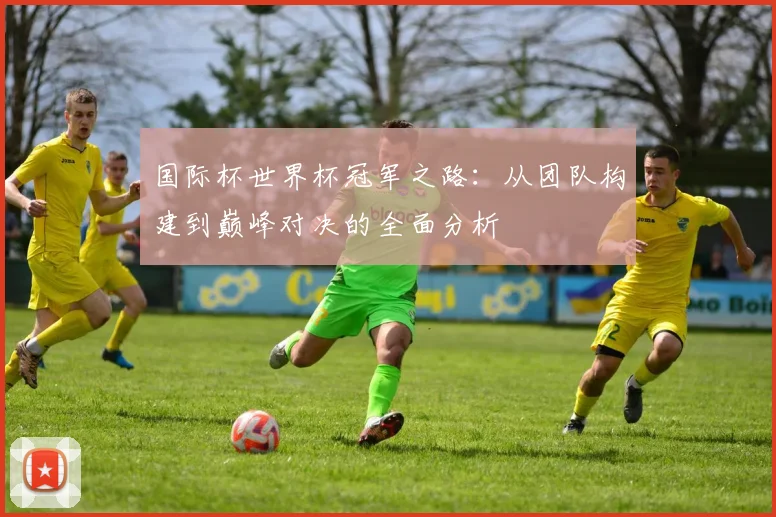 国际杯世界杯冠军之路:从团队构建到巅峰对决的全面分析