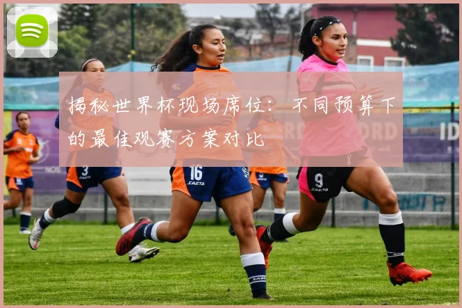 揭秘世界杯现场席位:不同预算下的最佳观赛方案对比