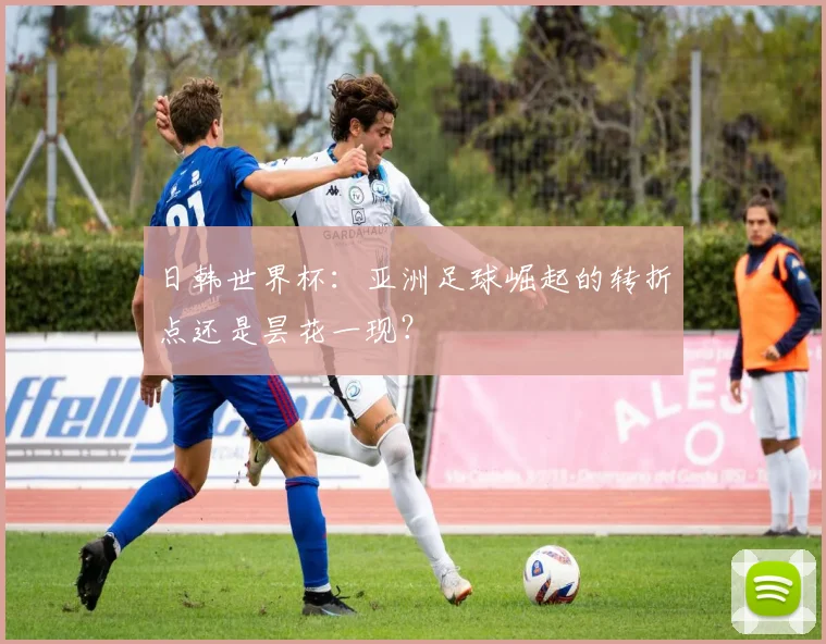 日韩世界杯：亚洲足球崛起的转折点还是昙花一现？